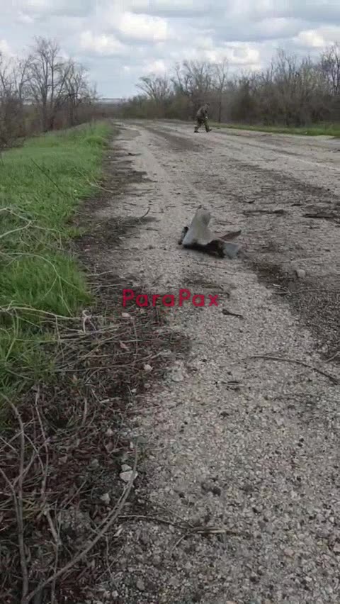 Russian Infantry Group Advancing Towa....