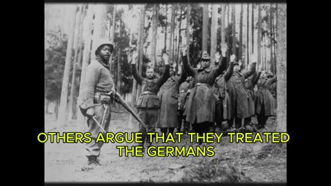 Nazis Couldn't Believed African American Soldiers