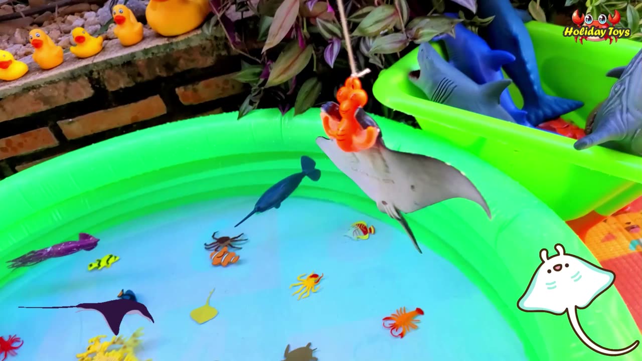 Color Starfish from Blue to Yellow to Make it Look Cute