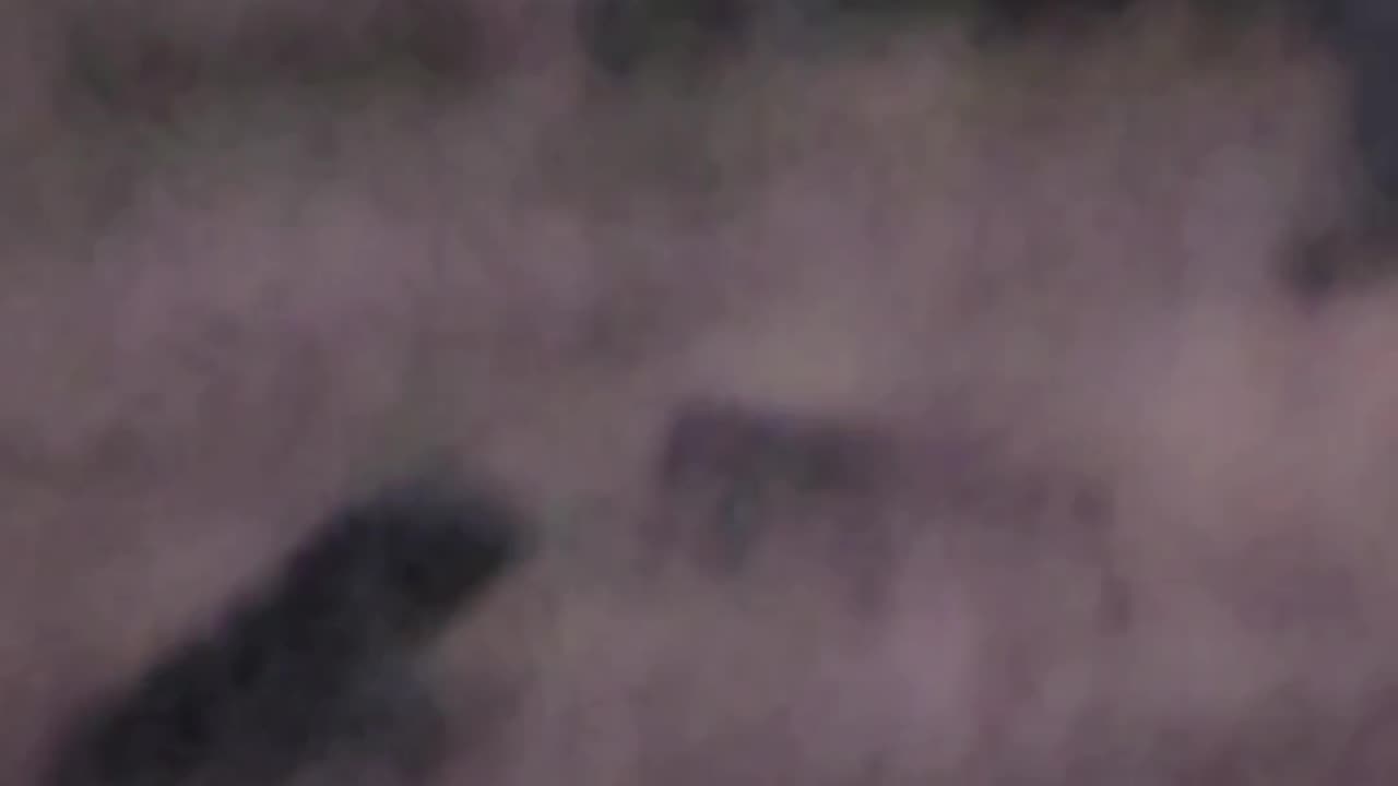 GHOST ORBS PT 2
