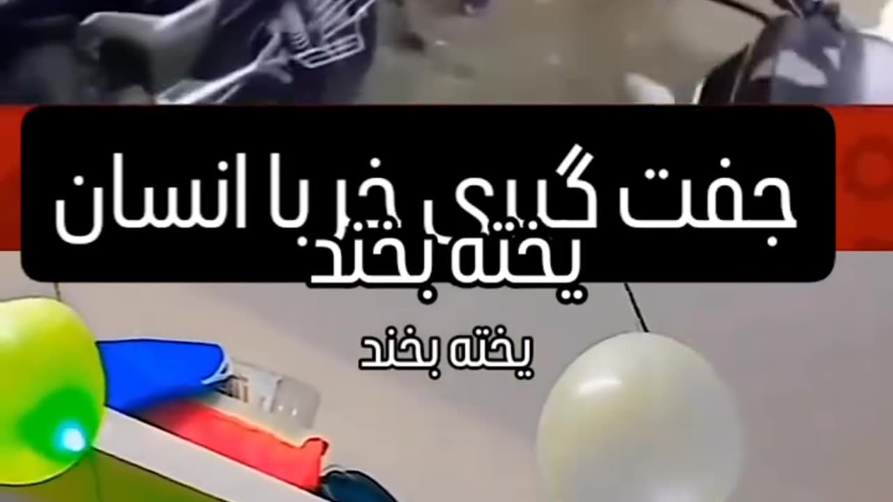 (!...)تعلیم آموخته