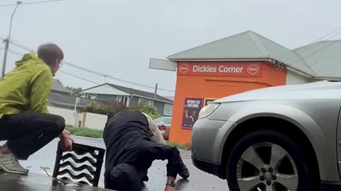 They Rescued The Ducklings And Reunited Them With Their Mother! ❤️