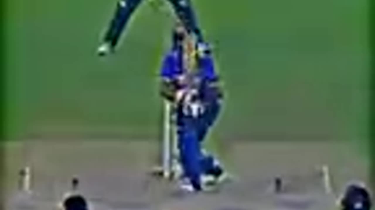 Cricket Lovers shorts