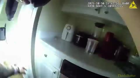 Hillsborough County deputies rescue puppy stolen during armed burglary