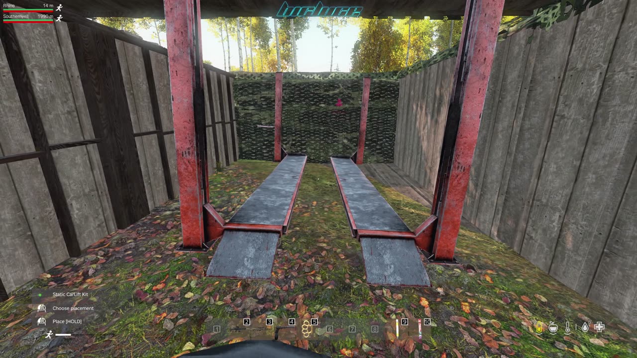 DayZ