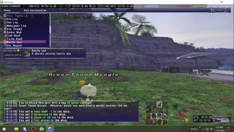 Playing Final Fantasy XI Online