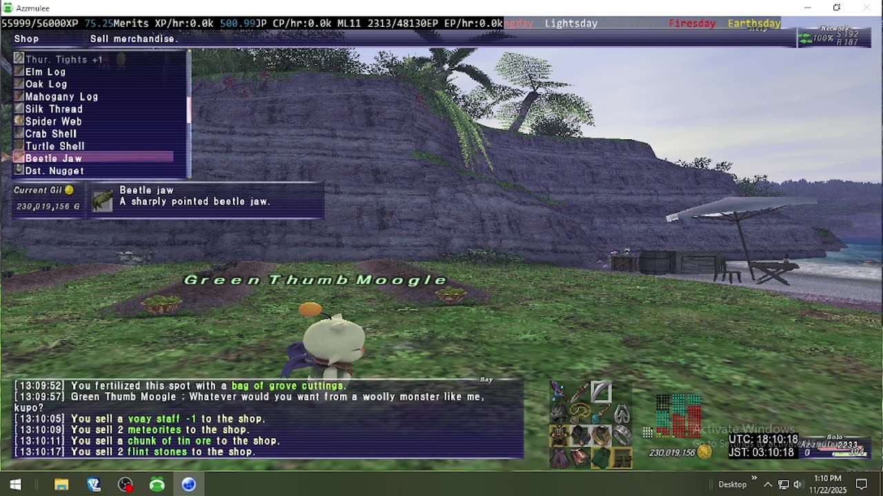 Playing Final Fantasy XI Online