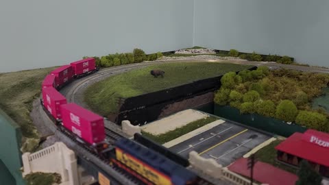 Buffalo