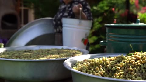 White Mulberry Sweets Sweet Treats from Nature_part2
