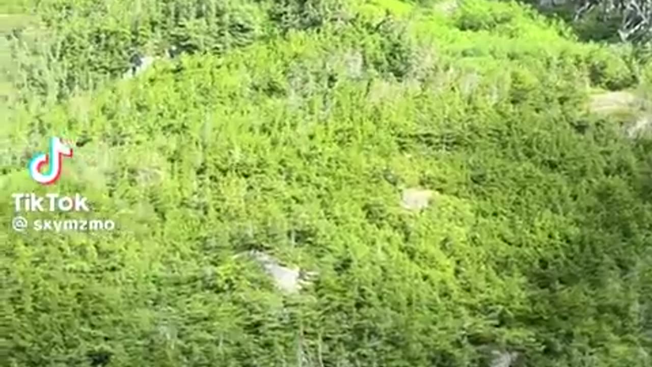 🙏😂 Oh, thank heavens! | FunFM