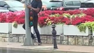 Even traffic lights aren't safe.