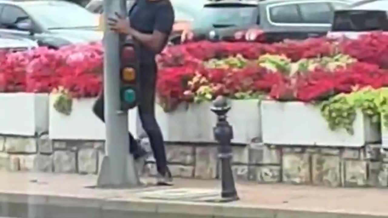 Even traffic lights aren't safe.