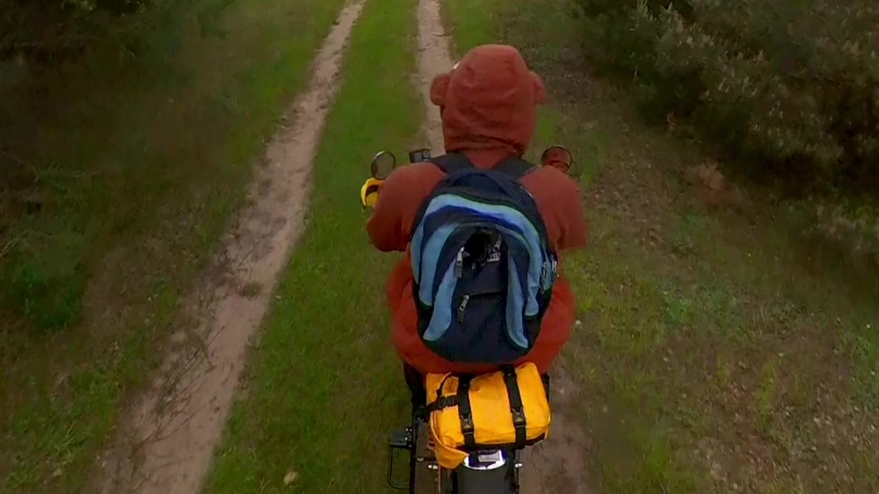 gta by boski on honda monkey