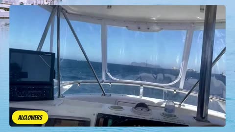 SoCal Weekend Fish Report with Captain Dave! #819