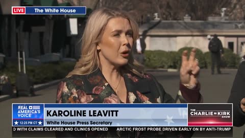 PRESS SEC TORCHES MEDIA ON ICE PROTESTORS: ORGANIZED GROUPS