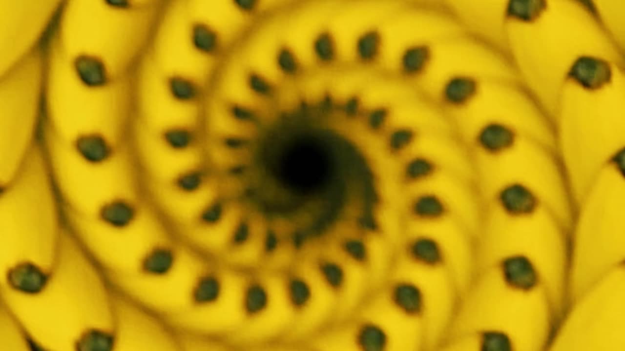 Bananas are a great source of potassium. #health #healthy #healthadvice #shorts #reels