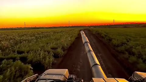 Incredible 4k Tank Video