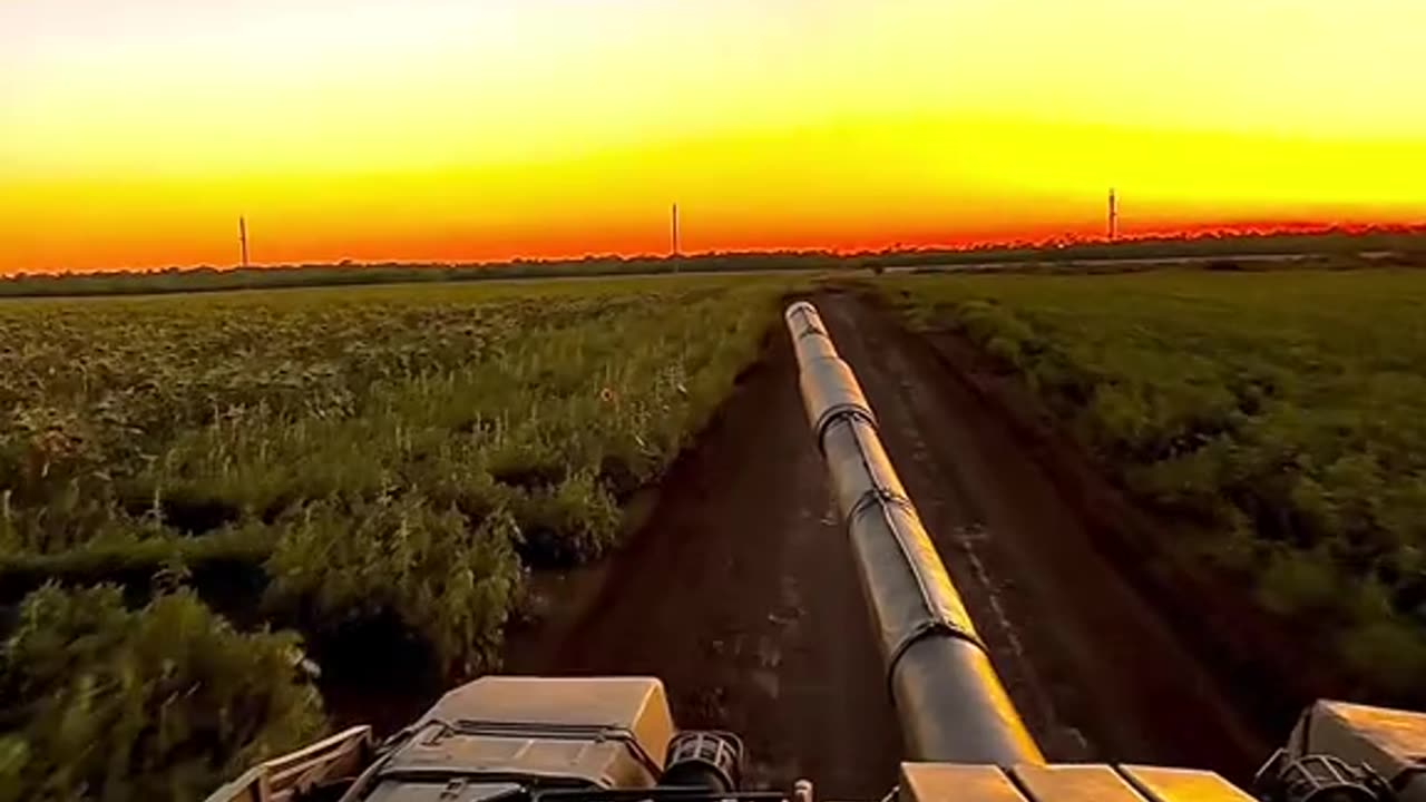 Incredible 4k Tank Video