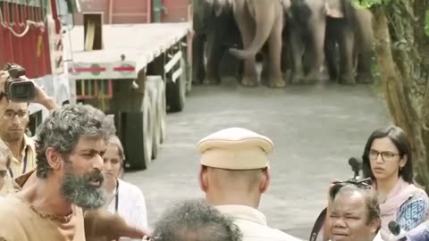 New south Indian movie 2025 part 1