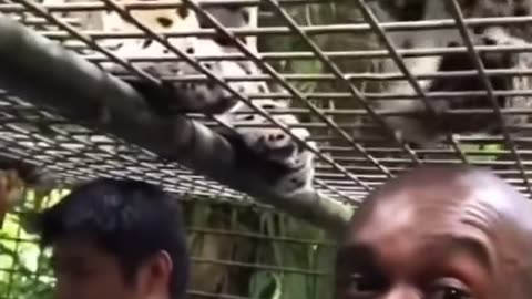 😂💡 Leopard Level Exfoliation! 🐆 | FunFM