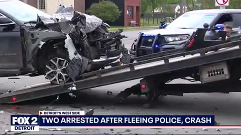 Niggers flee niggly police aka Piggers crash into a bus 🐒🐷🐒🐷