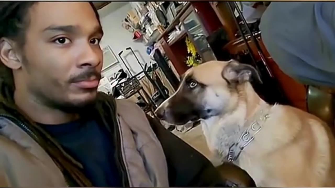 FUNNY ANIMAL COMPILATIONS - PART 22