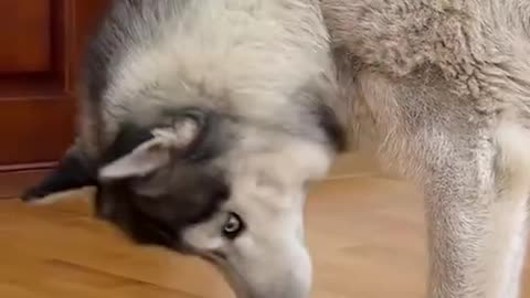 Beginnings friendship