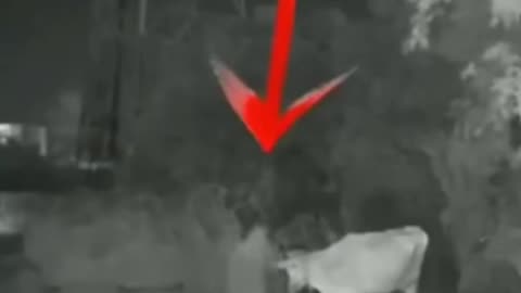 😱👻 What Did They Awaken? Creepy Poltergeist Evidence | TheHauntingHour