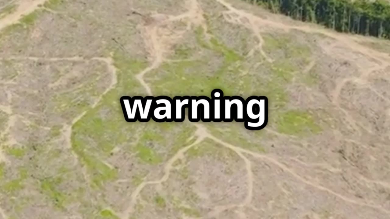 🦋🌍 Butterflies as Environmental Indicators – Nature’s Climate Messengers! 🔬🌡️