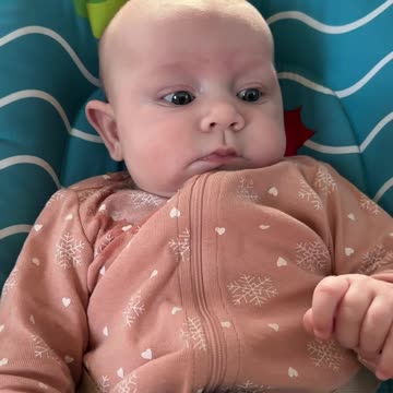 day 96 curious eyes – kayla watches waffle time