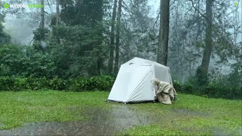 Very Heavy Rain and Flood‼ Solo Camping in Heavy Rain 🌧 RELAXING IN THE TENT WITH MYDOG 🐶 ASMR