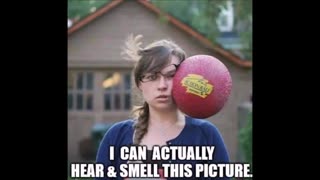 111625 Laugh Out Loud Hilarious Memes Jokes Cartoons