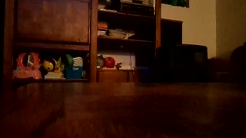 Showing Chris remix and original versions of Gnarles barkely Crazy