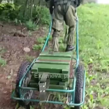 Russian Soldiers Evolving into Donkeys