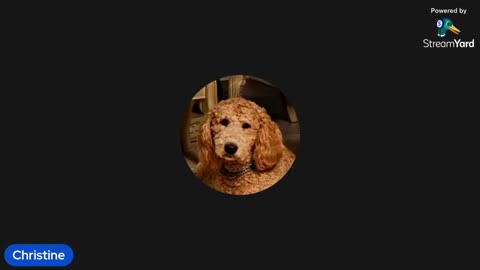 07/25/25 Beeta's Kitties VOD: "Bikini contest ruined by biden"