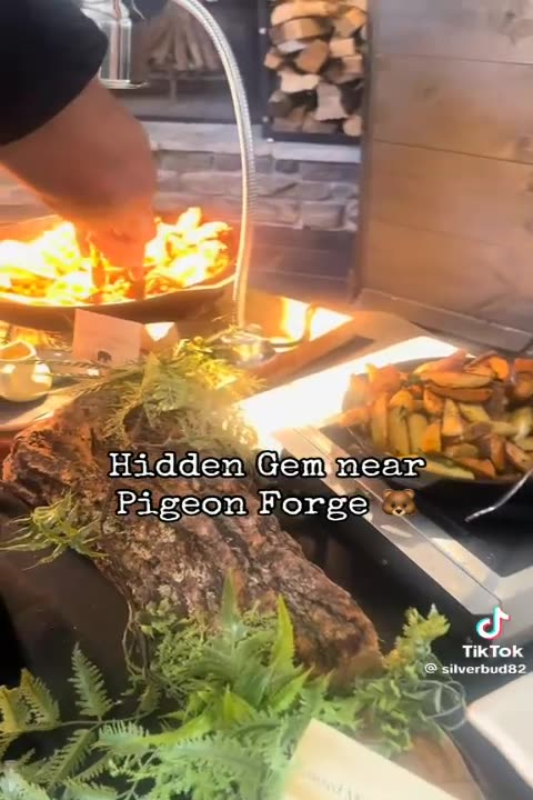 Hidden Gem near Pigeon Forge, TN