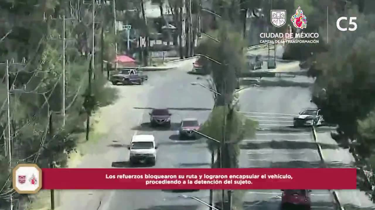DELITOS CONTRA LA SALUD | #C5CorazónDeLaCDMX