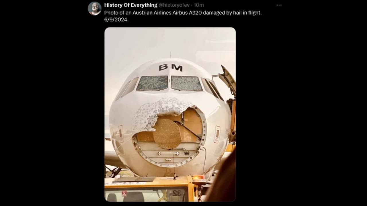 History of Everything - Hail Damage