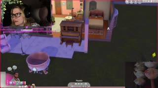 Chicken Live Stream