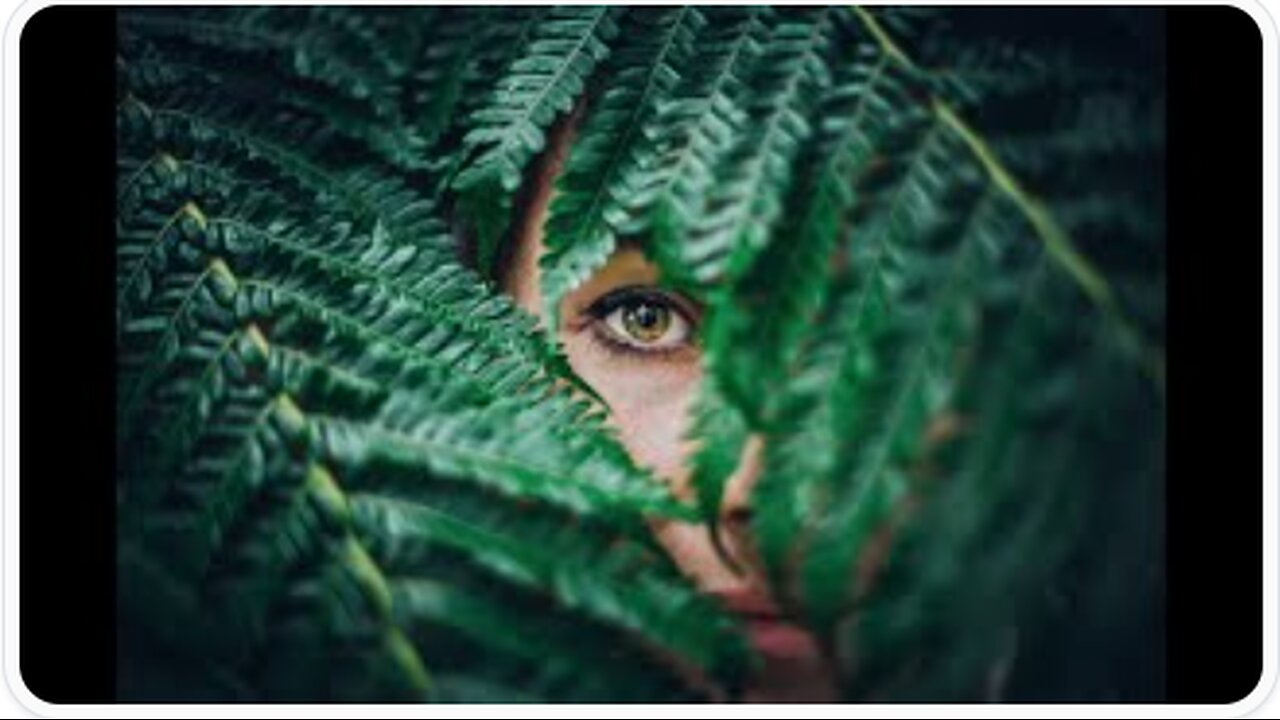 THEY LOOK LIKE PEOPLE (2025) - KJ's What Happened?