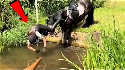 No One’s Holding These Horses 🐎😅 | Funniest Wild Horse Moments