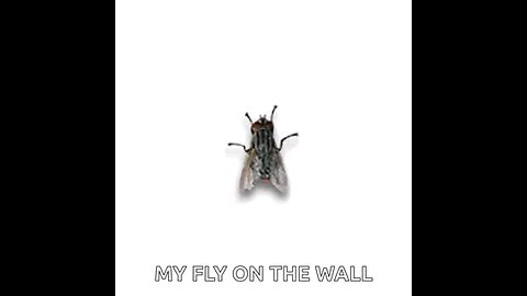 atrapa ala mosca