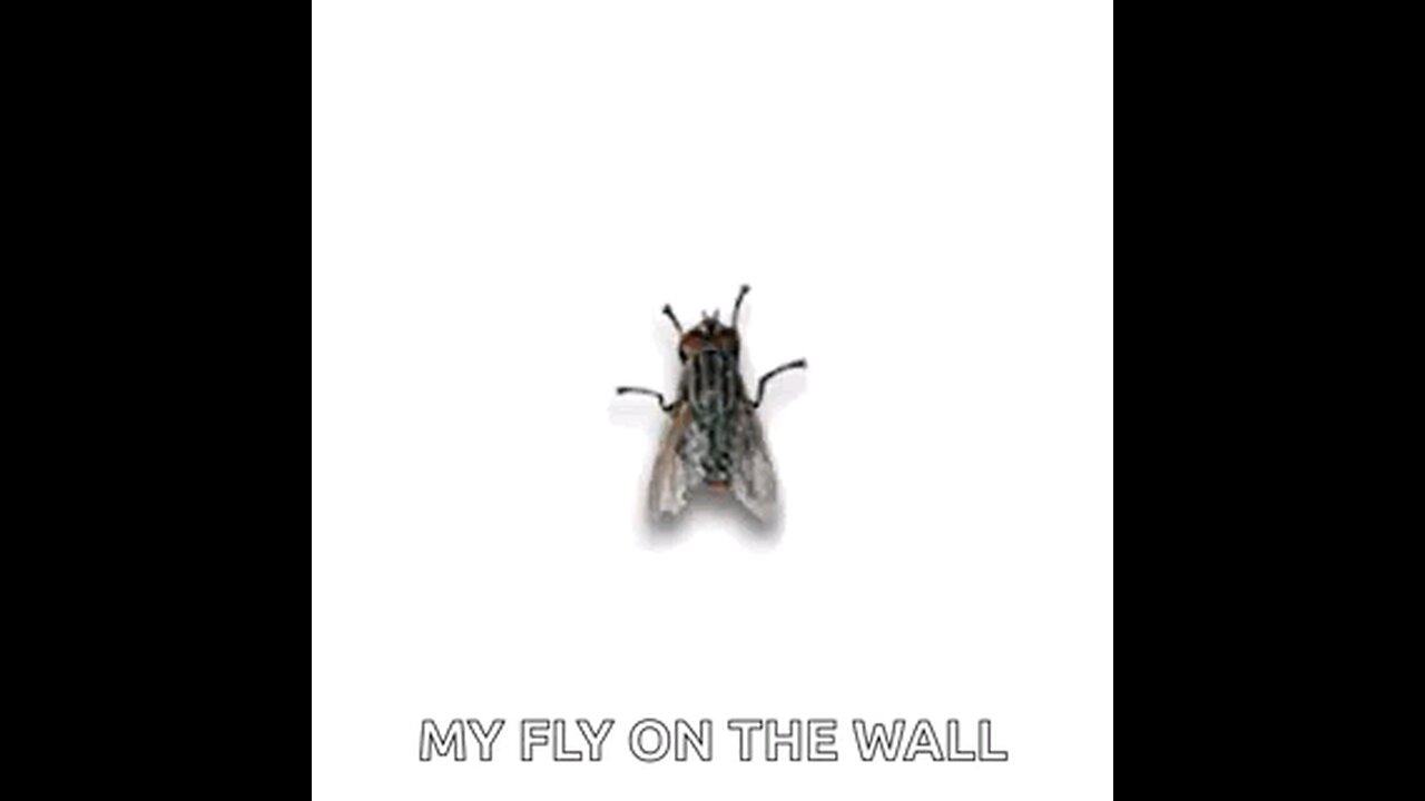 atrapa ala mosca