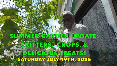 Summer Garden Update: Critters, Crops, & Delicious Treats!