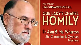 Saints Cornelius, Pope, and Cyprian, Bishop, Martyrs - September 16, 2025 - OLC HOMILY
