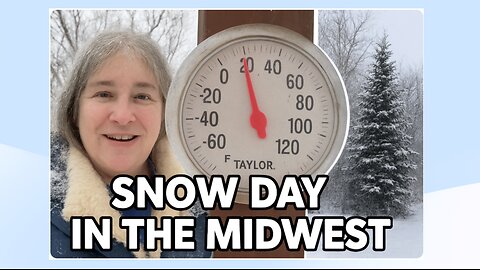 It's a snow day in the midwest. Quiet walk in the woods.