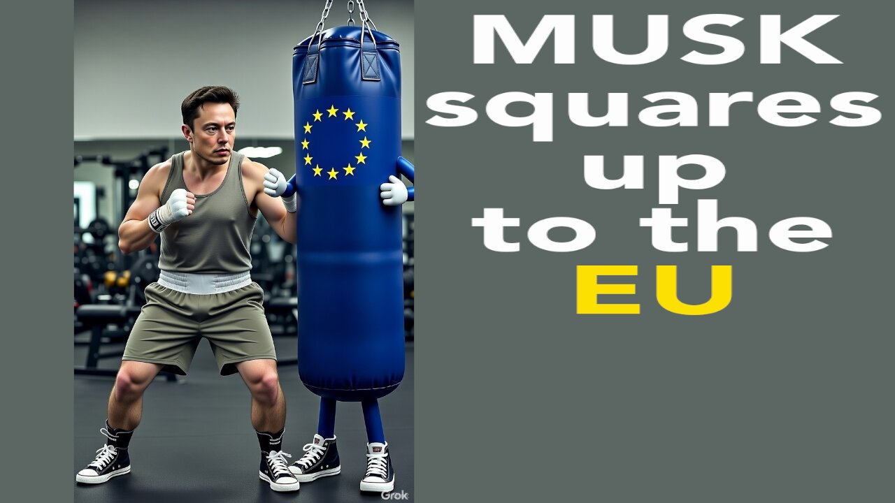 Elon Musk and the European Union