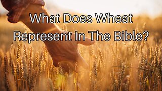 What Does Wheat Represent In The Bible?
