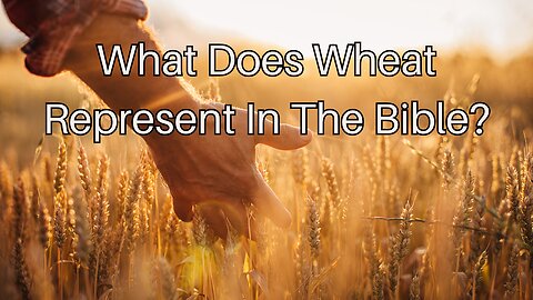What Does Wheat Represent In The Bible?
