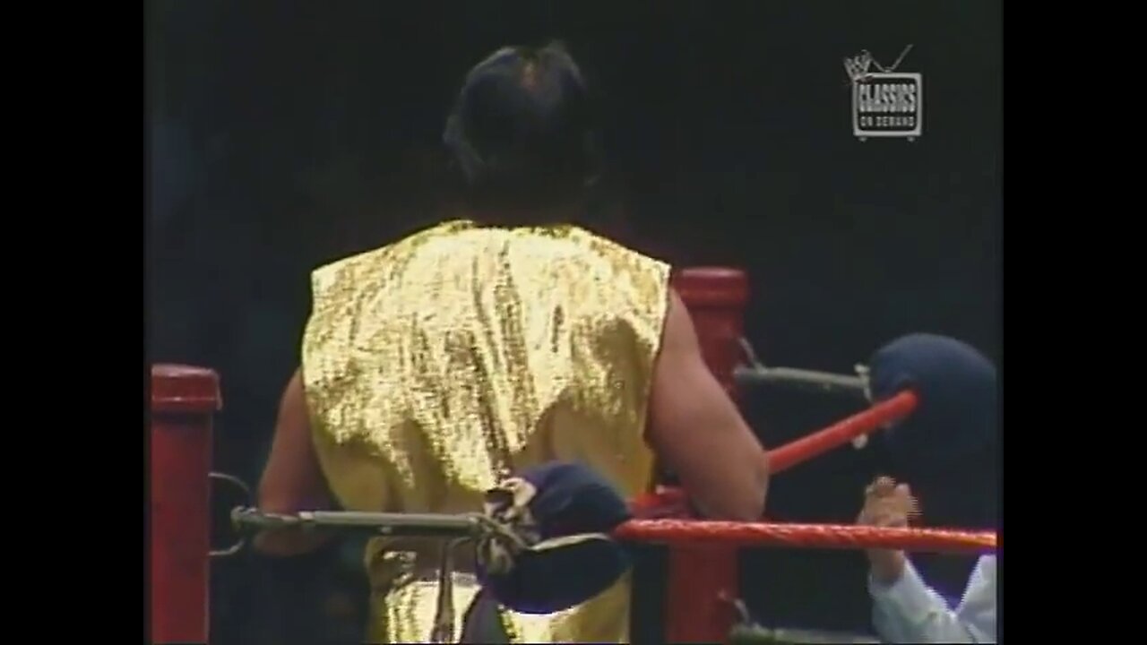 meadowlands arena-NJ-Brutus beefcake vs. quick draw McGraw